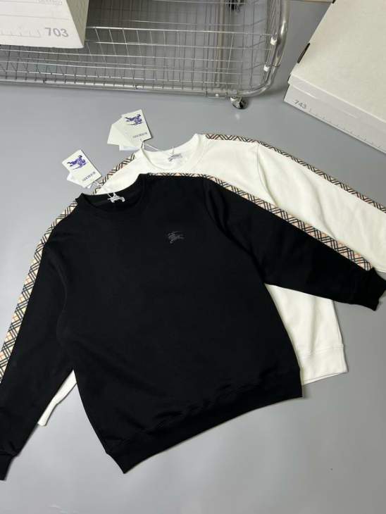 Picture of Burberry Sweatshirt _SKUBurberryS-XLxetr25031071